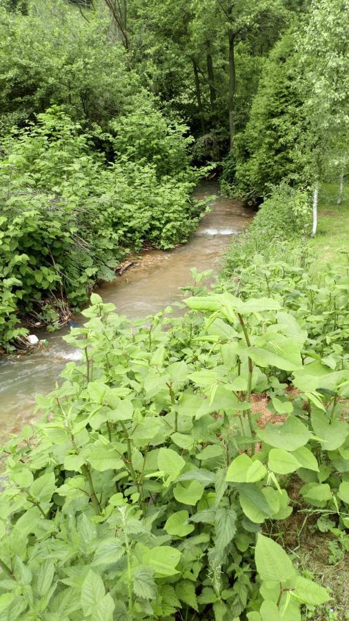 Cottage Forest Stream Visoko Extérieur photo